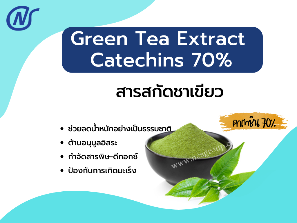 Green Tea Extract Catechins 70%